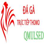 ĐÁ GÀ TRỰC TIẾP LYSET Profile Picture