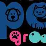 Dubai Pets Grooming Profile Picture