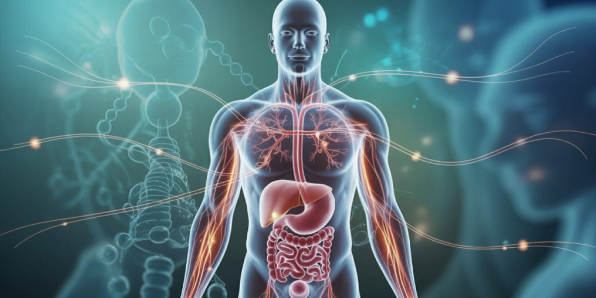 Metabolism Myths Busted: What Science Really Says About Boosting Your Energy Burn?