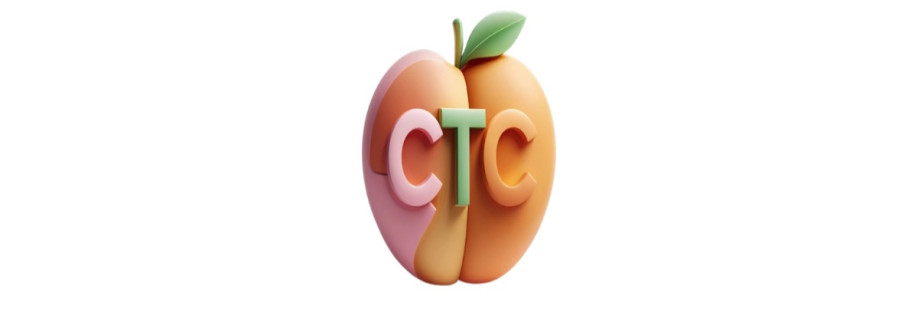 Chongtoico film Cover Image