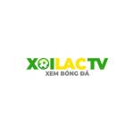 moroccancamcom gia mao Profile Picture
