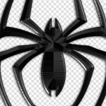 Sp5der Clothing