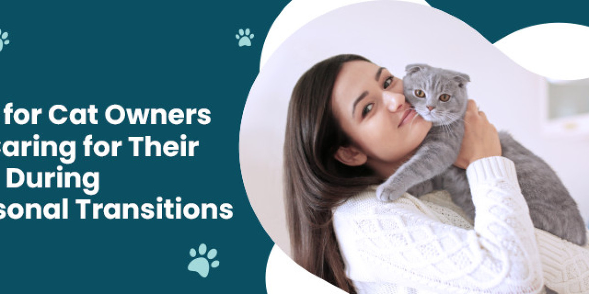 Cat Care Tips | CGS Hospital