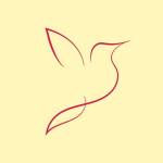 Parwaz Profile Picture