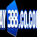 Cay388 cocom
