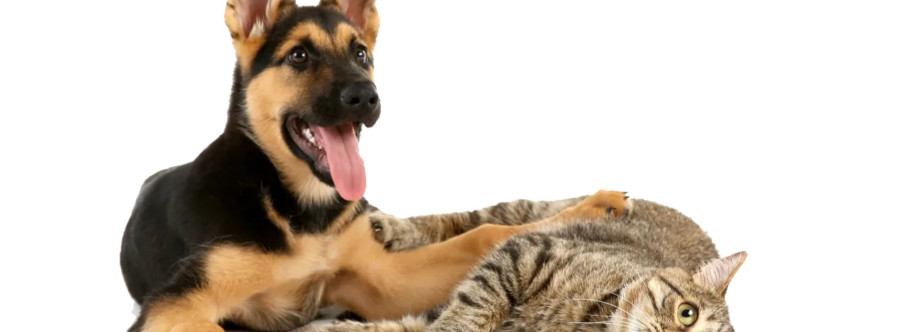 Lincoln Ave Cat and Dog Hospital Cover Image