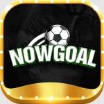 Nowgoal Profile Picture