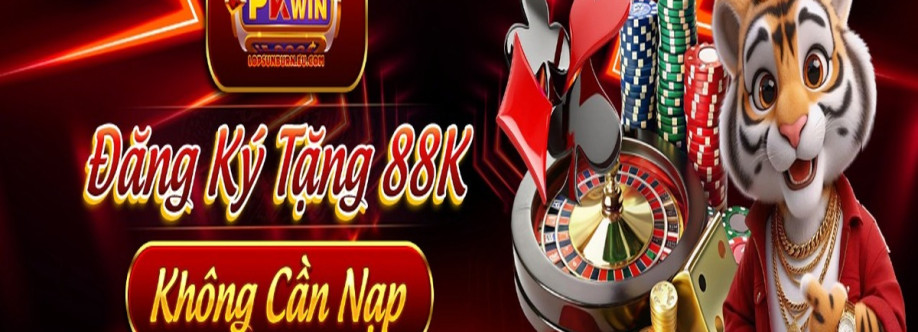 Pkwin Cover Image