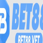 bet88vet