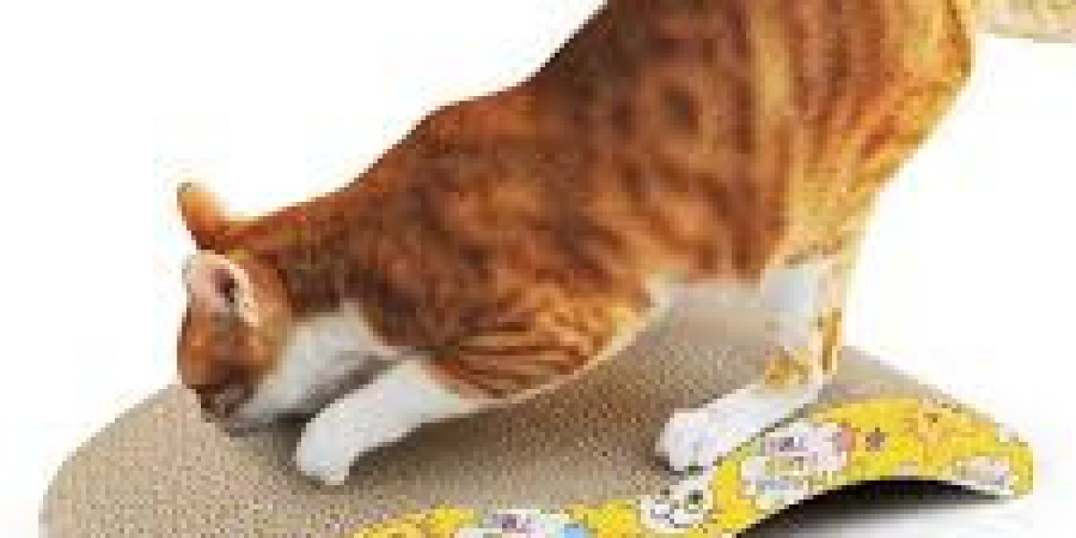 Essential Guide to Choosing the Perfect Cat Accessories