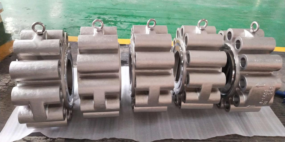 Check valve manufacturer in Europe