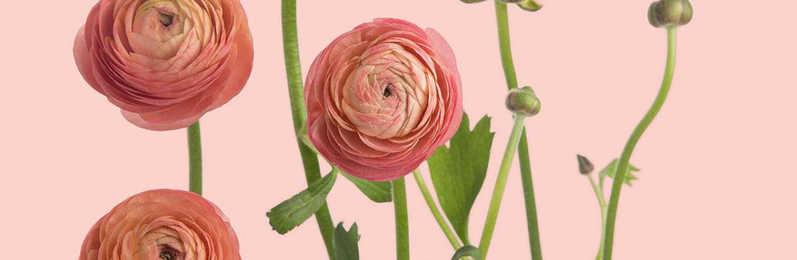 Michigan Flower Barn Cover Image