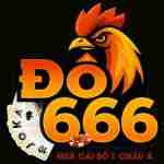 do6666net