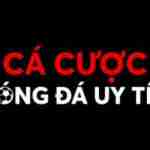 Cá Cược Bóng Đá