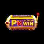 PKWIN