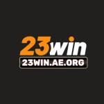 23win ae org