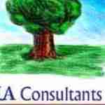 UA Consultants Profile Picture