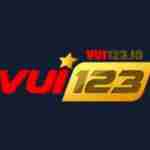 Vui123 io