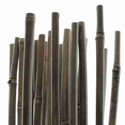 Tuteurs Bambou 120 cm - Pack de 25 pcs Profile Picture