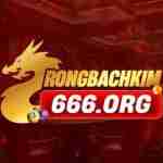 Rồng Bạch Kim 666