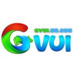 Gvui us com