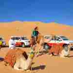 dubai desert safari for family