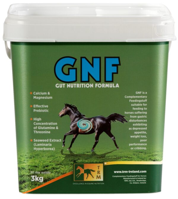 5 Common Mistakes to Avoid When Giving Your Horse Supplements - Bioneers Live