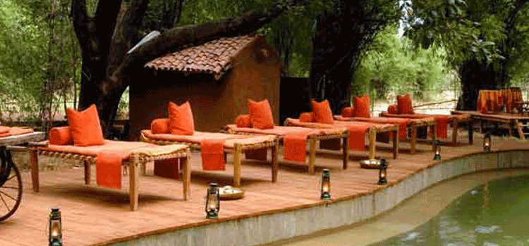 Resorts in Bandhavgarh | Luxury Hotels in Bandhavgarh | Tiger Safari Bandhavgarh