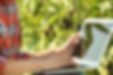 Agro Products Company | uTerra Middle East Agro Industries LLC