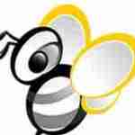 webbeez