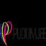 pudumjee