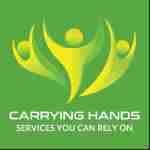 Carrying Hands