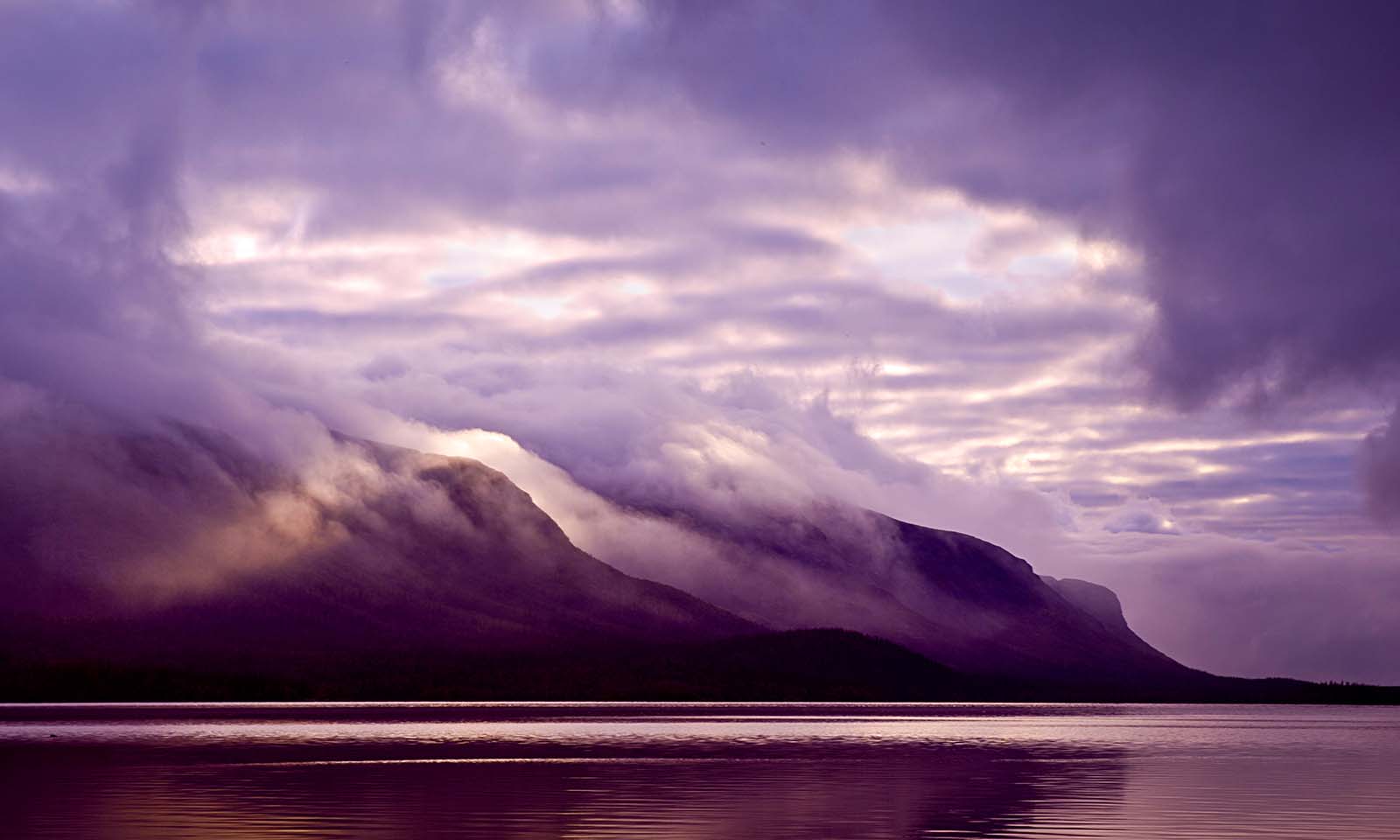 Same Day Massage Booking London | On Demand Massage London | Auraluva's Ownd