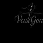 Vast Gent