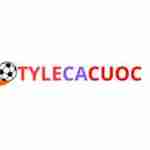 tylecacuoc5