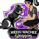 weeki wachee waggers