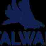 Stalwart International