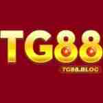 TG88  Nhà Cái Cá Cược Trực Tuyến Hàng Đầu