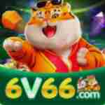 6v66