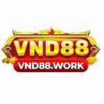 VND88 work