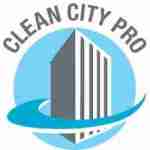 Clean City Pro