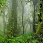 Rakesh Sharma