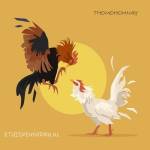 thomohomnay ĐÁ GÀ TRỰC TIẾP