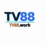 TV 88