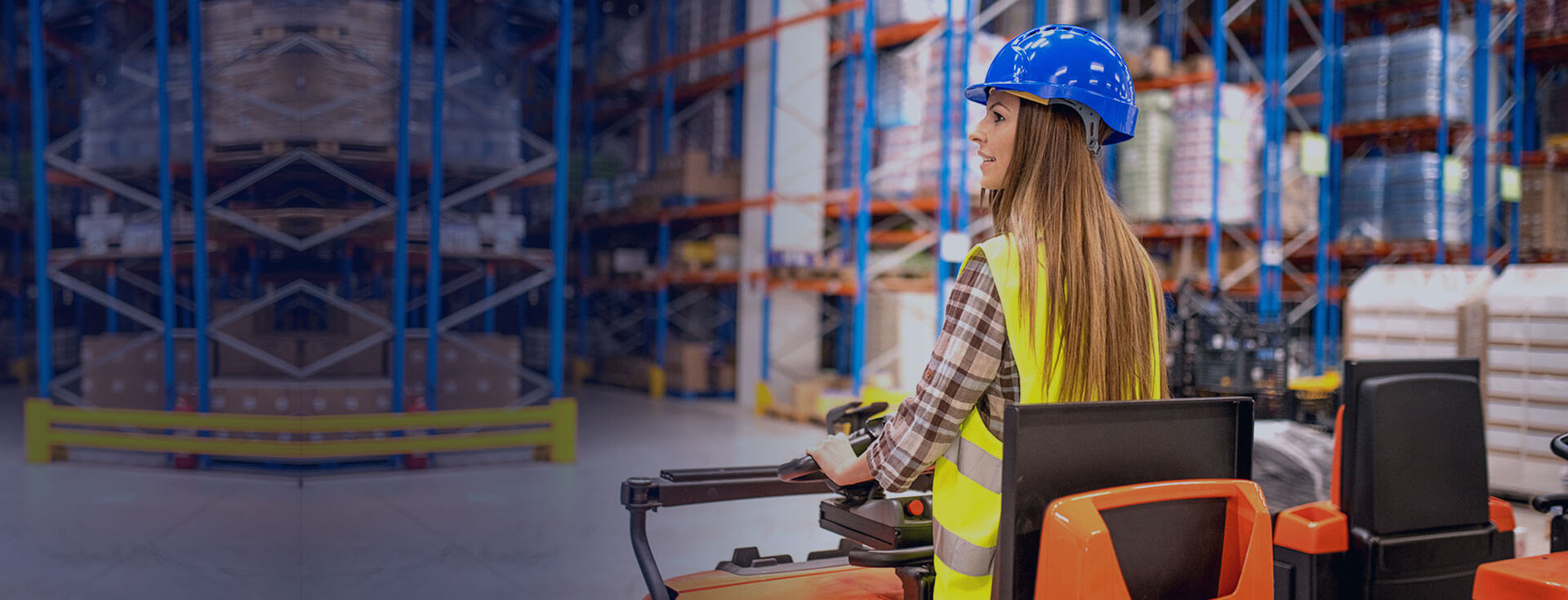 Domestic Courier Service For 24Hours in Mumbai - Sonali Express