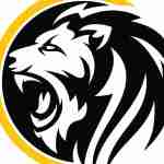 Digitalroar Softlabs