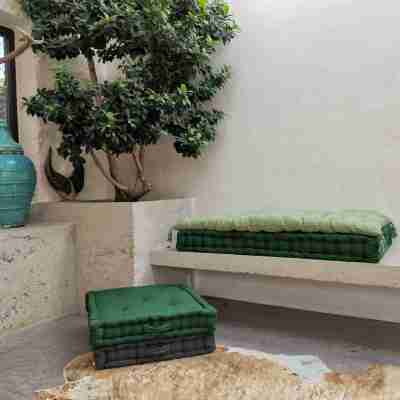 Coussin de sol Costa Vert Forêt Profile Picture