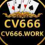 cv666work1