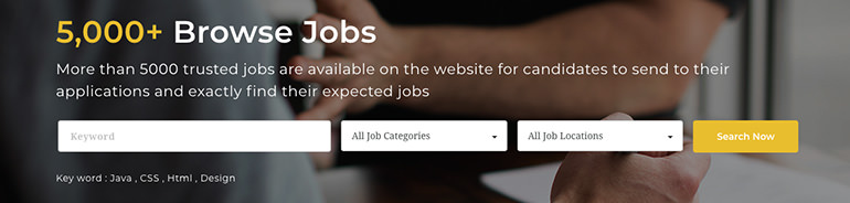 Jobs Archive - Dolphinplacements