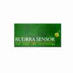Rudrra Sensor